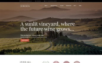 WordPress Theme namens "Jorden" #58992