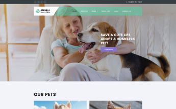 Animal Shelter №62140
