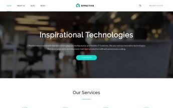 "Effective - Development & Consulting Agency" modèle web adaptatif #64425