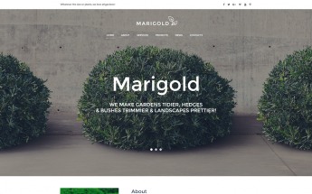 Exterior Design Moto CMS HTML Template