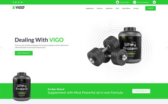 VIGO - Single Product Supplement WordPress Theme