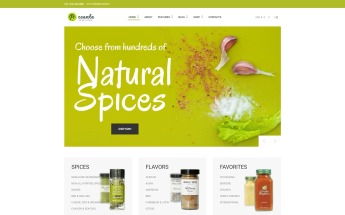 Responsywny motyw WooCommerce Piccante - Spices Store Elementor #69742
