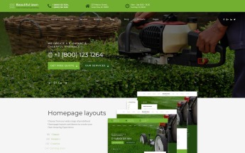 "Beautiful Lawn - Lawn Moving And Gardening" modèle web adaptatif #70530