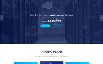 Responsive VHost - Web Hosting Wordpress #77414