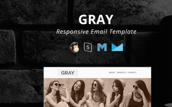 Newsletter Vorlage namens "GRAY - Responsive Email" #95402