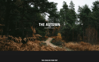 The Autumn - Portfolio | Responsive Drupal Template