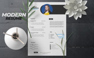 Resume Template | Professional Resume Template | Easy to get job by resume attraction