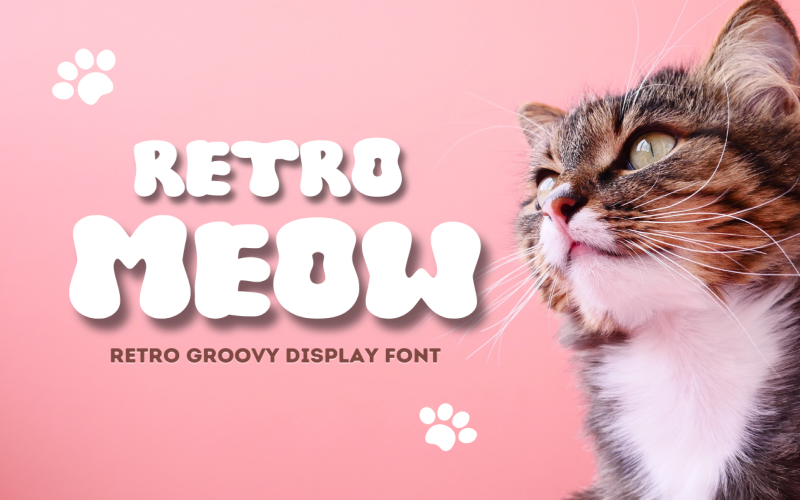 Retro Meow - Retro Groovy Display Font
