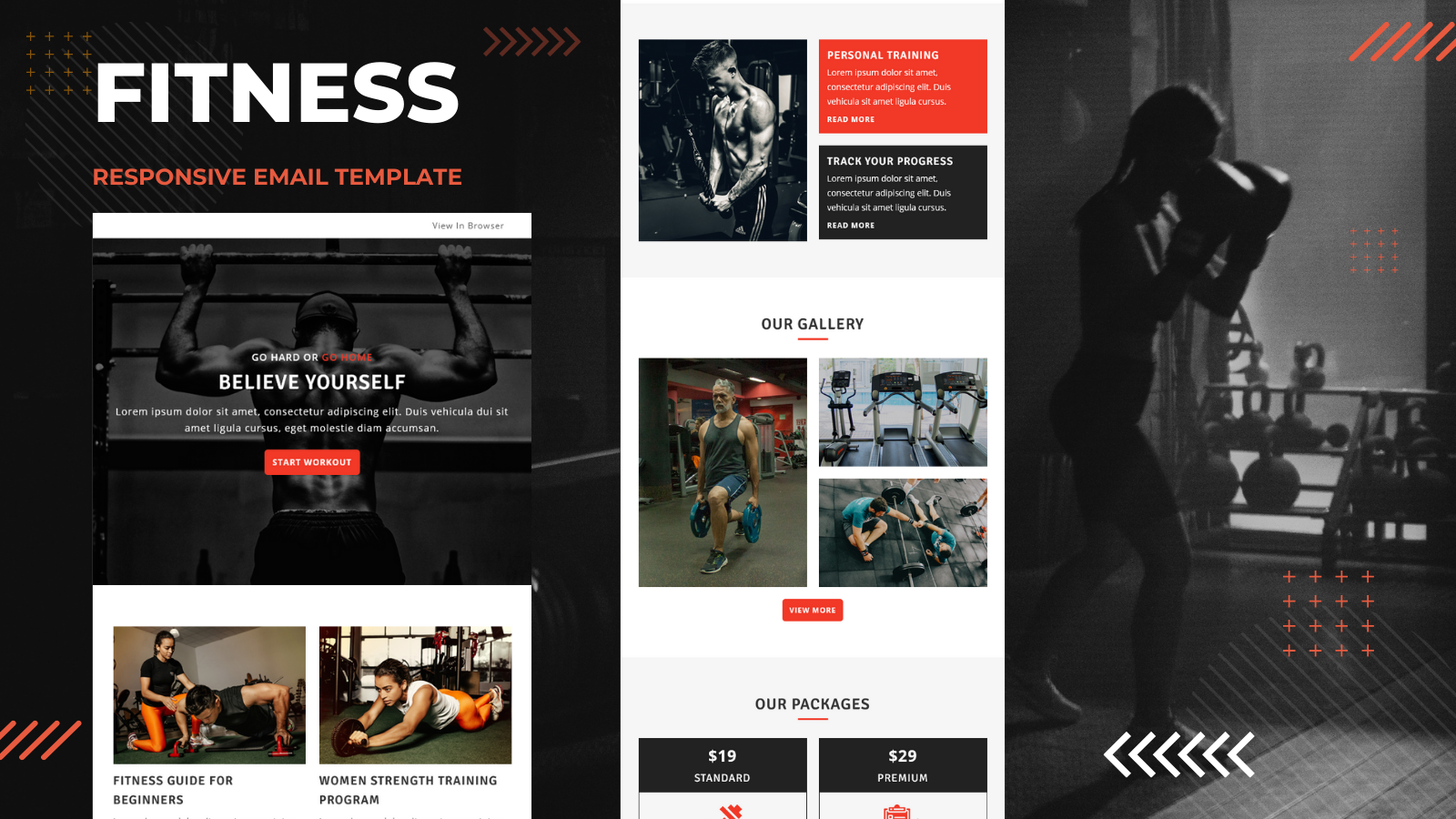 Fitness – Multipurpose Responsive Email Template