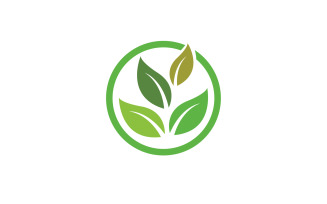 Leaf green ecology nature fresh logo vector v36
