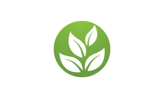 Leaf green ecology nature fresh logo vector v37