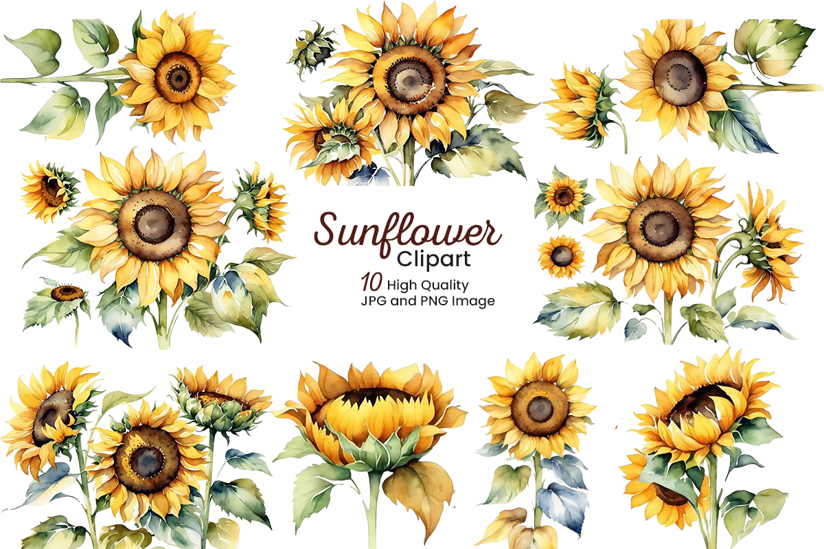 Kit Graphique #347428 Watercolor Sunflowers Divers Modles Web - Logo template Preview