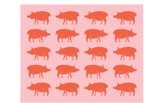 Pig head animal logo vector v11