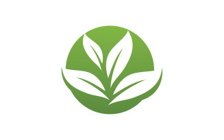 leaf nature go green logo vector v4