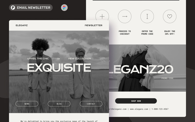 Eleganz - Fashion Email Newsletter UI Element