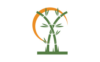 Bamboo tree logo vector v11