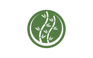 Bamboo tree logo vector v19