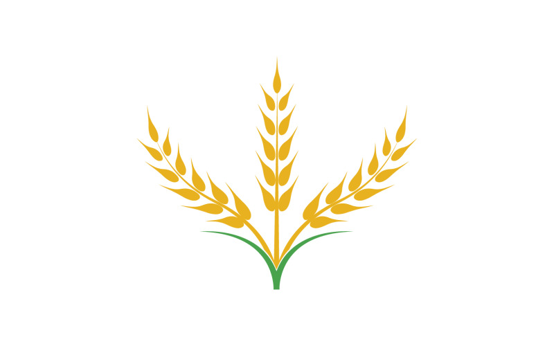 Wheat oat rice logo food v8 Logo Template