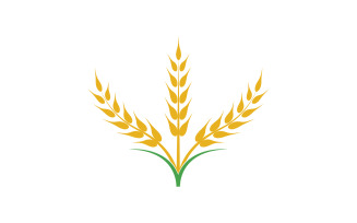 Wheat oat rice logo food v8