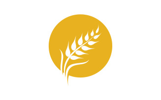 Wheat oat rice logo food v9