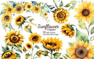 Hand painted watercolor sunflowers bouquets with green leaves clipart