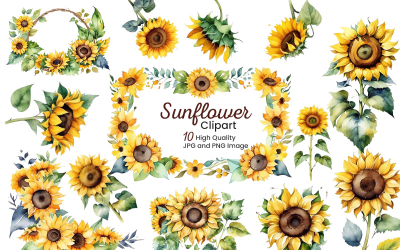 Hand painted watercolor sunflowers bouquets with green leaves frame Illustration
