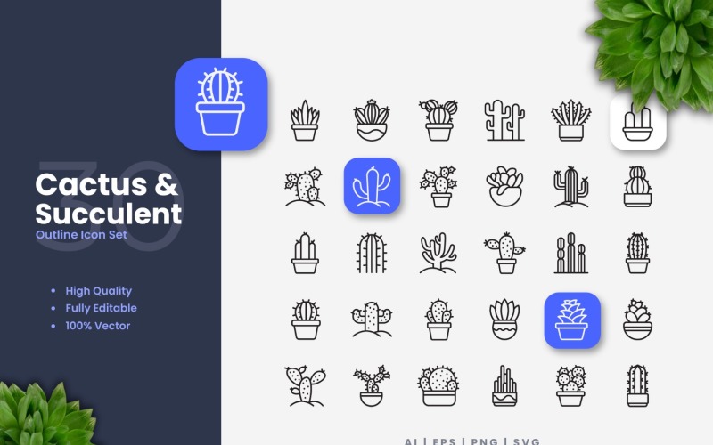 30 Cactus and Succulent Outline Icon Set