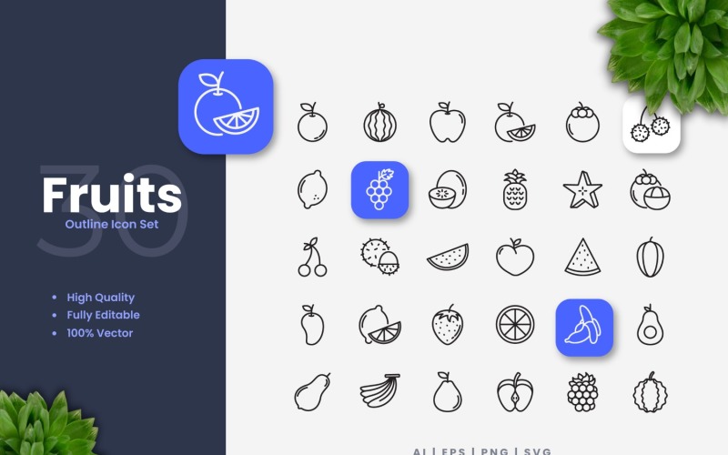 30 Set of Fruit Outline Icon Collection Icon Set