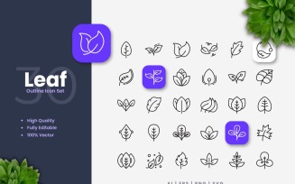 30 Set of Leaf Outline Icon Collection
