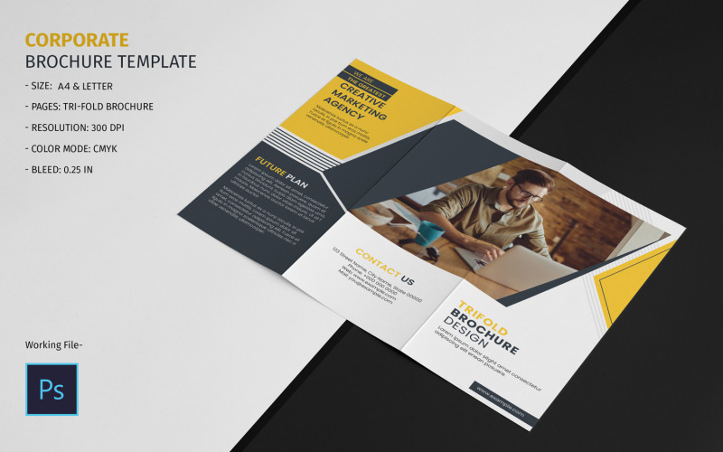 Trifold Business Brochure Corporate Identity