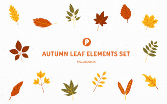 Warm Hand Drawn Autumn Leaf Elements Set