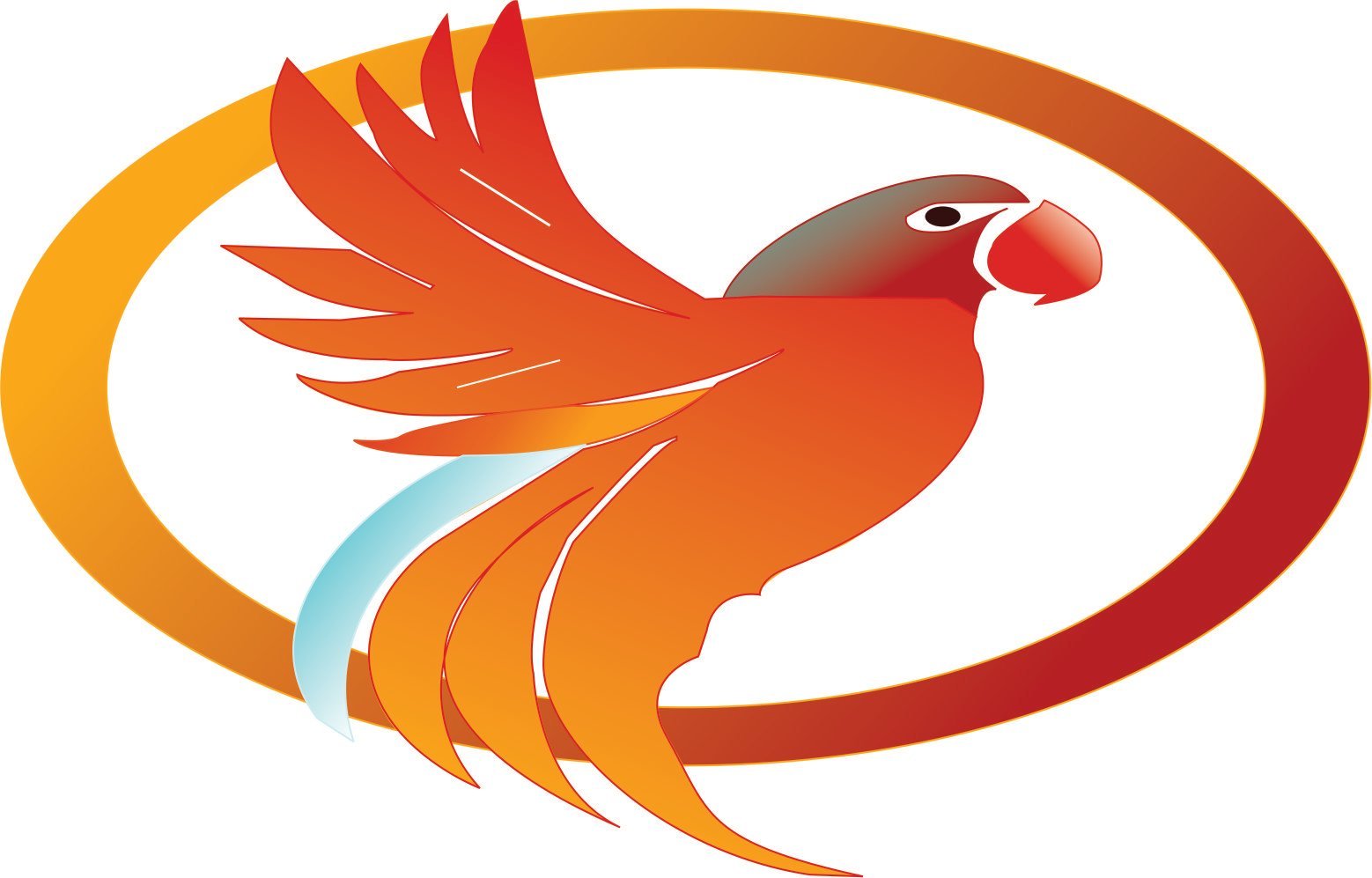 Kit Graphique #351705 Bird Design Divers Modles Web - Logo template Preview