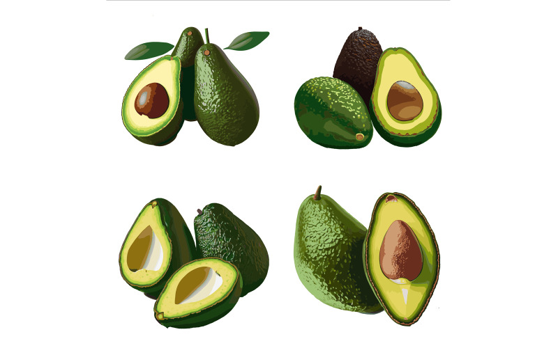 Avocado set. Avocado vector illustration isolated on white background. Vector Graphic