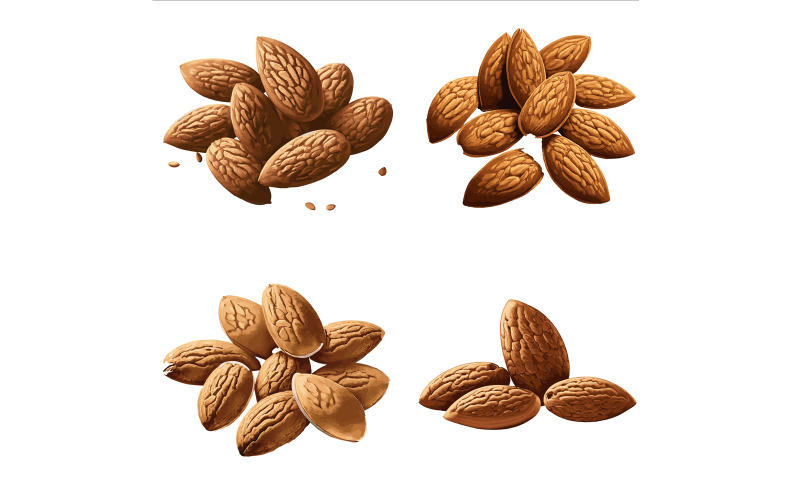 Beautiful Almond set in solid background, vector illustration Vector Graphic