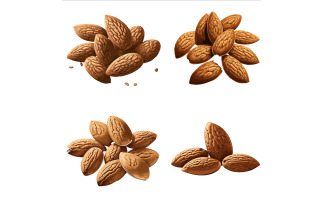 Beautiful Almond set in solid background, vector illustration