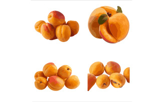 Beautiful Apricot in solid background, vector illustration