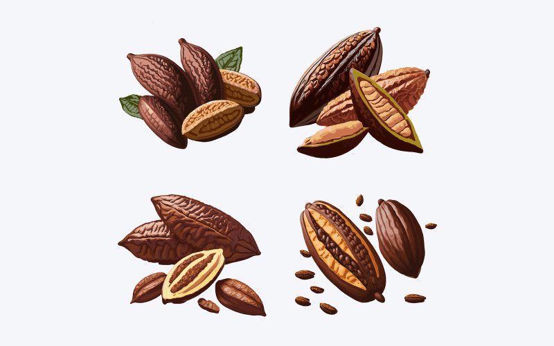 Cocoa beans with leaves and seeds. Vector illustration of cocoa beans. Vector Graphic