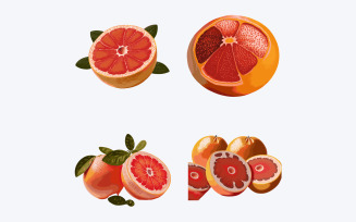 Grapefruit set. Vector illustration. Isolated on white background.