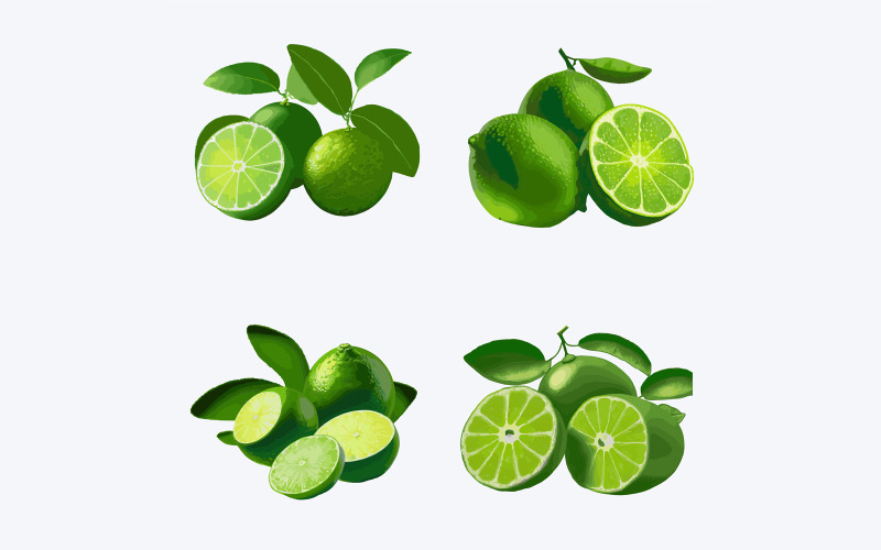 Lime set with slices and leaves isolated on white background. Vector illustration. Vector Graphic
