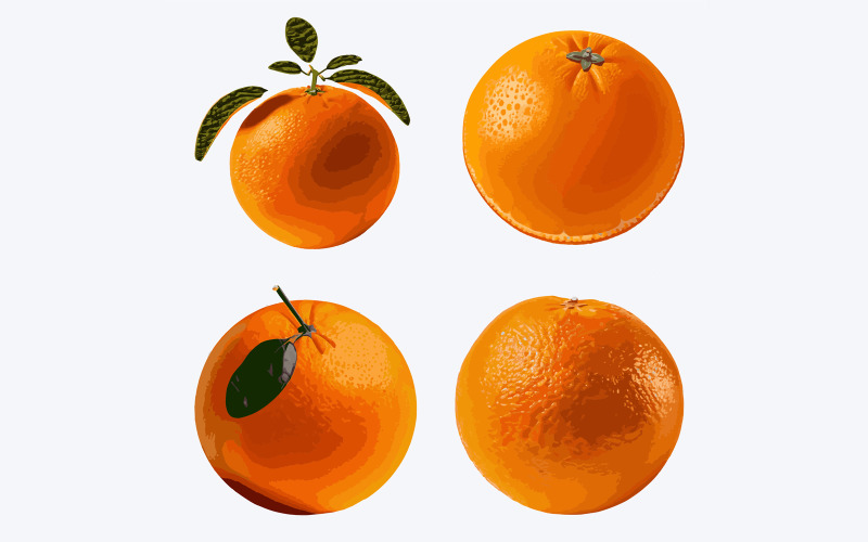 Orange fruit set. Isolated on white background. Vector illustration. Vector Graphic