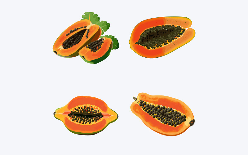 Papaya fruit vector illustration. Realistic papaya fruit with seeds. Vector Graphic