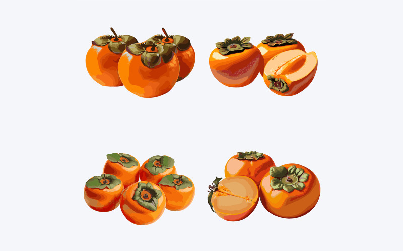 Persimmon fruit set. Vector illustration of ripe persimmon fruit. Vector Graphic