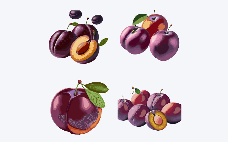 Plum set. Vector illustration of a fresh fruit isolated on white background. Vector Graphic