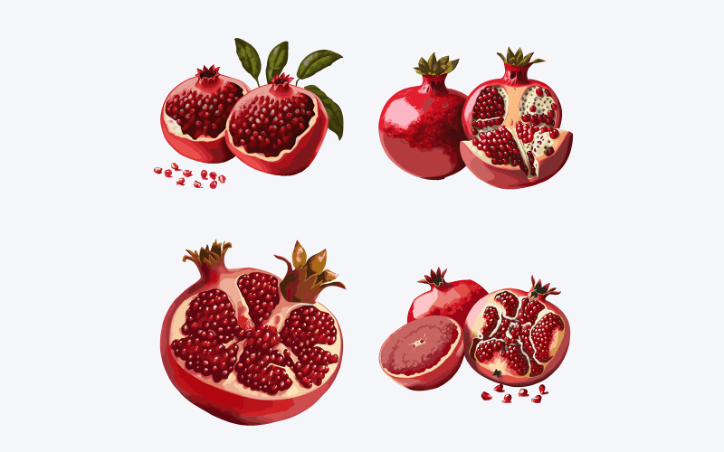 Pomegranate fruit set. Pomegranate vector illustration Vector Graphic
