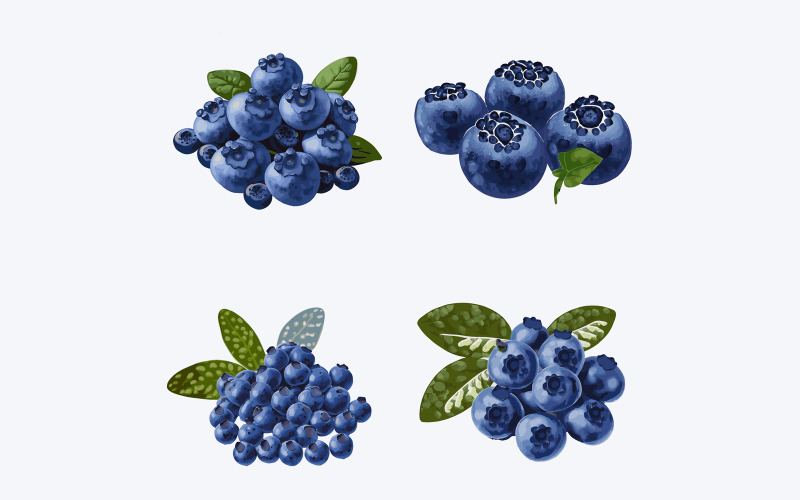 Set of blueberries with leaves isolated on white background. Vector illustration. Vector Graphic