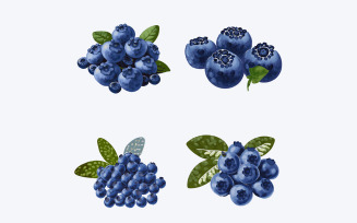 Set of blueberries with leaves isolated on white background. Vector illustration.