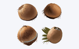 Set of coconuts isolated on white background. Vector illustration.