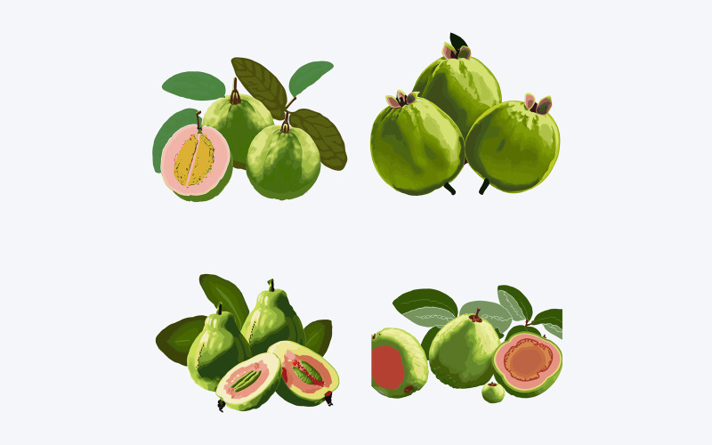 Set of guava fruits with leaves and slice. Vector illustration. Vector Graphic