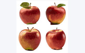 Set of red apples. Isolated on white background. Vector illustration.