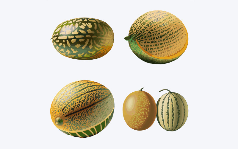 Set of ripe melons. Vector illustration isolated on white background. Vector Graphic